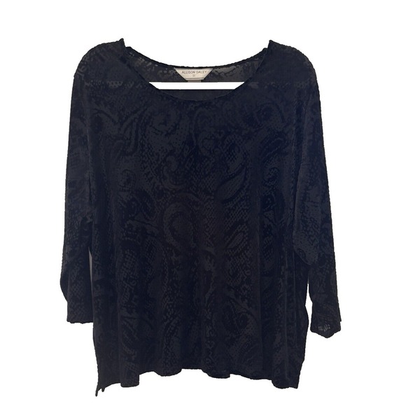 Velvet Burnout Top Dark Romantic Fairy Goth Scoop Neck Paisley Woman's Size 2XL - Picture 2 of 10